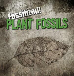 Plant Fossils by Kathleen Connors