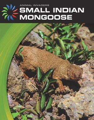 Small Indian Mongoose by Barbara A. Somervill