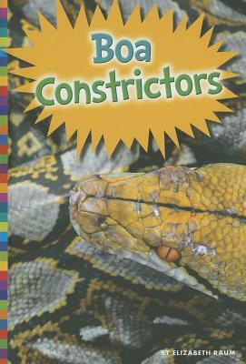 Boa Constrictors by Elizabeth Raum