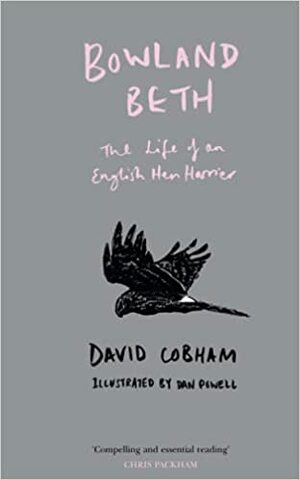 Bowland Beth: The Life Of An English Hen Harrier by David Cobham