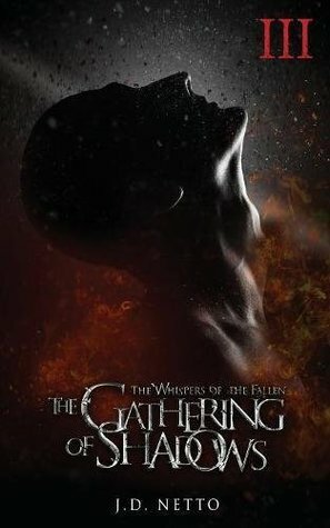 The Gathering of Shadows by J.D. Netto