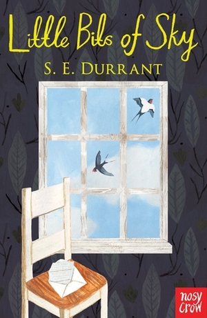 Little Bits of Sky by S.E. Durrant