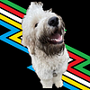 whiskeysailor's profile picture