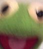 mactaylor's profile picture