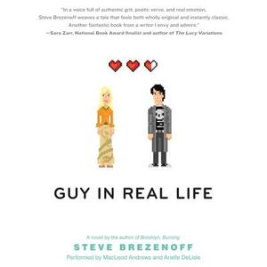 Guy in Real Life by Steve Brezenoff