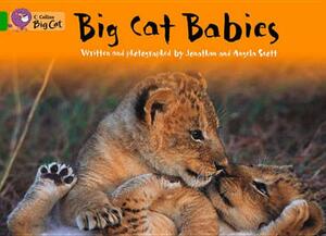 Big Cat Babies Workbook by Angela Scott, Jonathan Scott