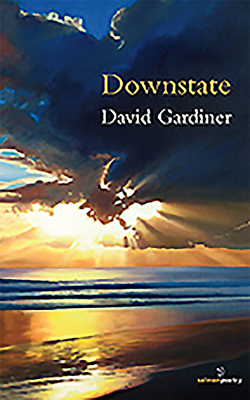 Downstate by David Gardiner