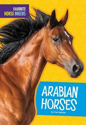 Arabian Horses by Carl Meister