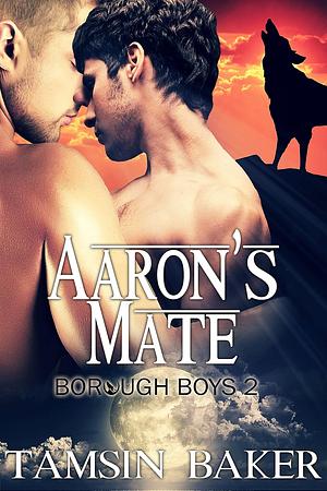 Aaron's Mate by Tamsin Baker