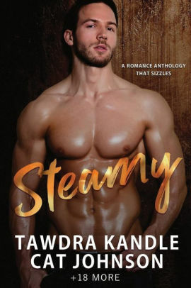 Steamy by L. Ann, Dylann Crush, Ivy Nelson, Danielle Pays, Michelle Mink, Sarah Bale, Jessie Harper, Heather Kinnane, Eliza Peake, Erika Everest, Nadia Mack, Tracie Delaney, Cynthia Terelst, Melinda De Ross, Tawdra Kandle, Lasairiona McMaster, Cat Johnson, Delancey Stewart, Diana A. Hicks, Jamie Garrett