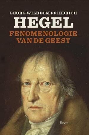 Fenomenologie van de geest by Georg Wilhelm Friedrich Hegel