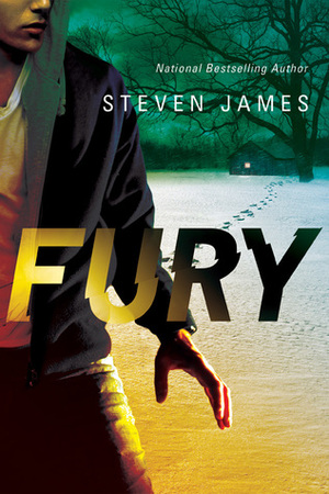 Fury by Steven James