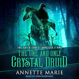 The One and Only Crystal Druid by Annette Marie