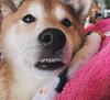 swampofsorrows's profile picture