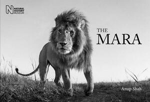 The Mara by Anup Shah