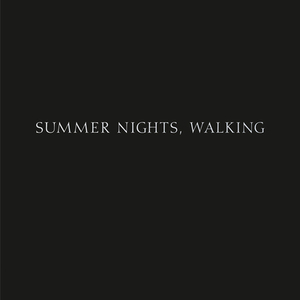 Robert Adams: Summer Nights, Walking by 