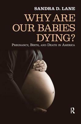 Why Are Our Babies Dying?: Pregnancy, Birth, and Death in America by Sandra Lane