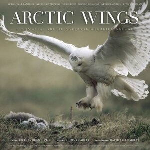 Arctic Wings: Birds of the Arctic National Wildlife Refuge by Jimmy Carter, Frank Keim, Michio Hoshino, Stan Senner, Subhankar Banerjee, Wayne R. Petersen, Fran Mauer, Robert Thompson, Hugh Rose, Cynthia D. Shogan, Debbie Miller, Kenn Kaufman, Stephen Brown, Steven Kazlowski, Mark Wilson, Jeff Fair, Denver Holt, Sarah James, Arthur Morris