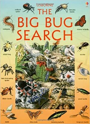 The Big Bug Search (Look/Puzzle/Learn Series) (Great Searches (EDC Paperback)) by Caroline Young