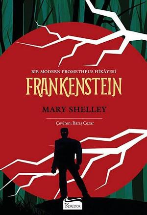 Frankenstein Bez Ciltli: Bir Modern Prometheus Hikayesi by Mary Shelley