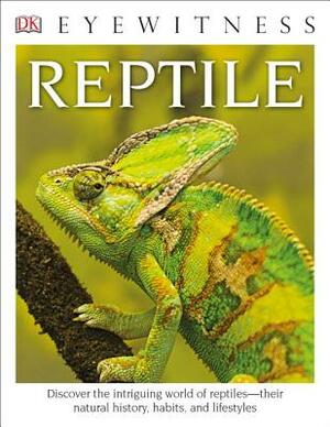 DK Eyewitness Books: Reptile by DK