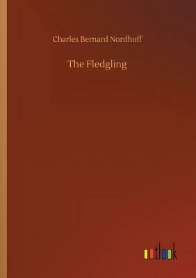The Fledgling by Charles Bernard Nordhoff