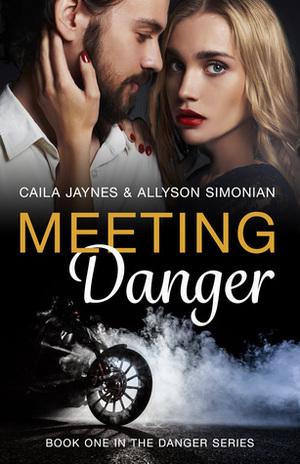 Meeting Danger by Caila Jaynes, Allyson Simonian