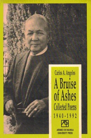 A Bruise Of Ashes: Collected Poems by Carlos A. Angeles