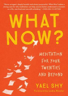 What Now?: Meditation for Your Twenties and Beyond by Yael Shy