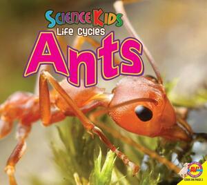 Ants by Katie Gillespie