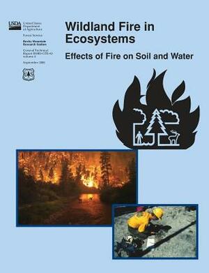 Wildland Fire in Ecosystems: Effects of Fire on Soil and Water by Rocky Mountain Research Service, U. S. Department of Agriculture, Jan L. Et Al Beyers