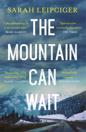 The Mountain Can Wait by Sarah Leipciger