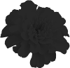 s24's profile picture