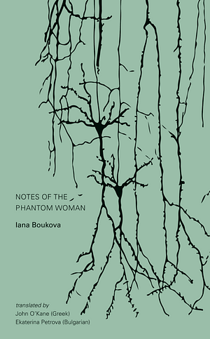 Notes of the Phantom Woman by Iana Boukova