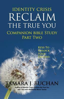 Identity Crisis Reclaim the True You: Companion Bible Study Part 2 by Anne D. Thompson, Tamara J. Buchan