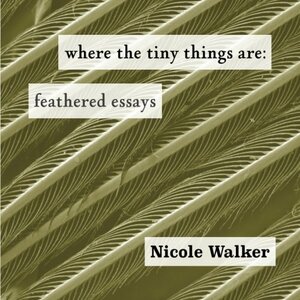 Where the Tiny Things Are: Feathered Essays by Nicole Walker