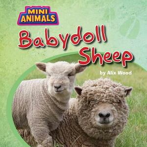 Babydoll Sheep by Alix Wood