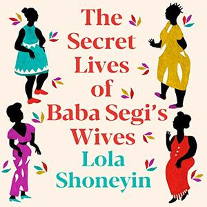 The Secret Lives of Baba Segi's Wives by Lola Shoneyin