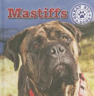 Mastiffs by Maria Nelson