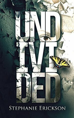 Undivided by Stephanie Erickson