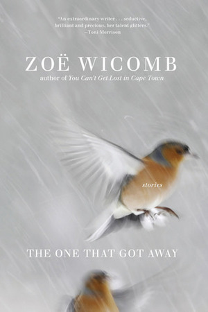 The One That Got Away by Zoë Wicomb