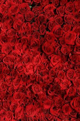 Red Roses: Red Roses Stand for Passion, True Love, Romance and Desire. the Red Rose Is a Classic I Love You Rose. When Red Roses by Planners and Journals