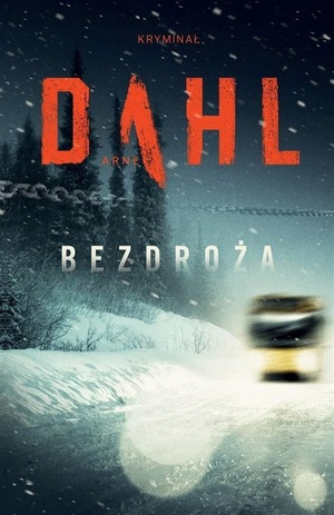 Bezdroża by Arne Dahl