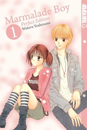 Marmalade Boy Perfect Edition, Band 01 by Wataru Yoshizumi