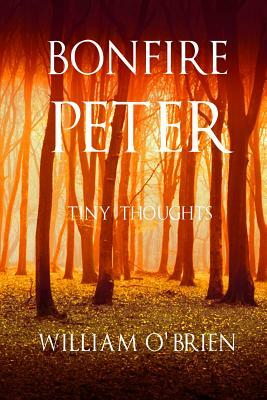 Bonfire Peter: (Peter: A Darkened Fairytale, Vol 13) by William O'Brien