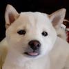 motelmasterpiece's profile picture