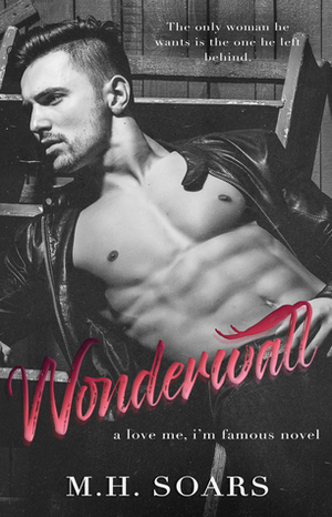 Wonderwall by M.H. Soars