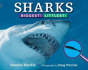 Sharks: Biggest! Littlest! by Sandra Markle