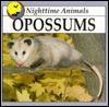 Opossums by Lynn M. Stone