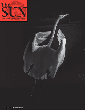 The Sun, Issue 553 by 